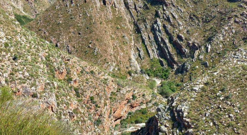 Photo of Others in Montagu