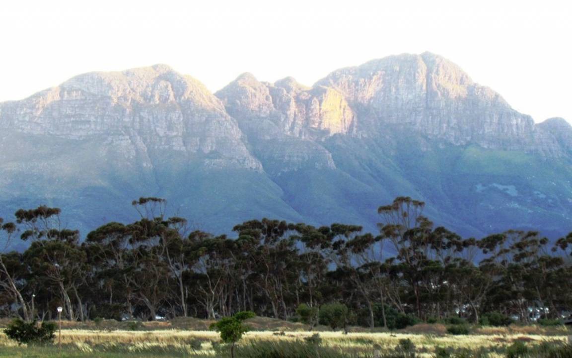 Photo of Others in Gordon's Bay