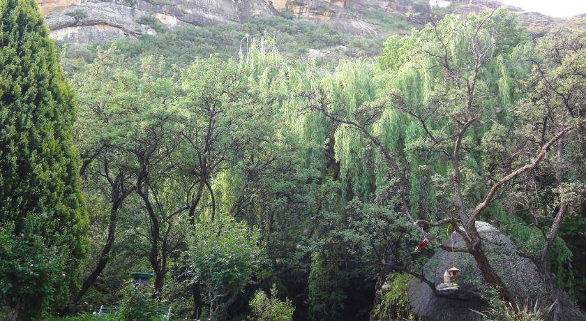 Photo of Others in Clarens