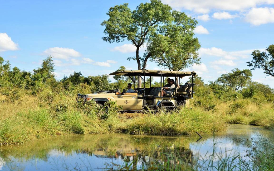 Photo of Others in Kruger National Park
