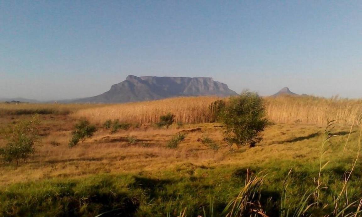 Photo of Others in Flamingo Vlei