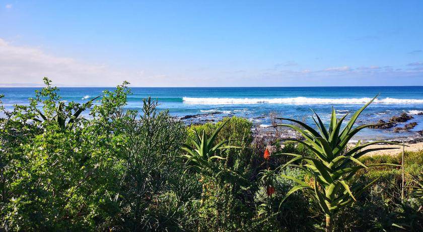 Photo of Others in Jeffreys Bay