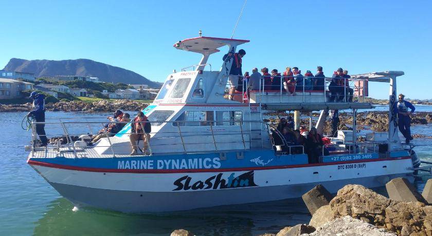 Photo of Others in Van Dyks Bay