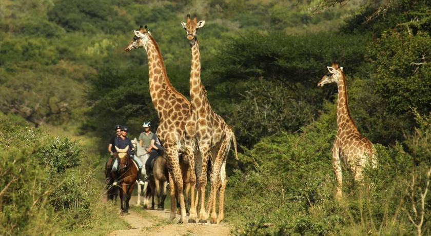Photo of Others in UPhongolo