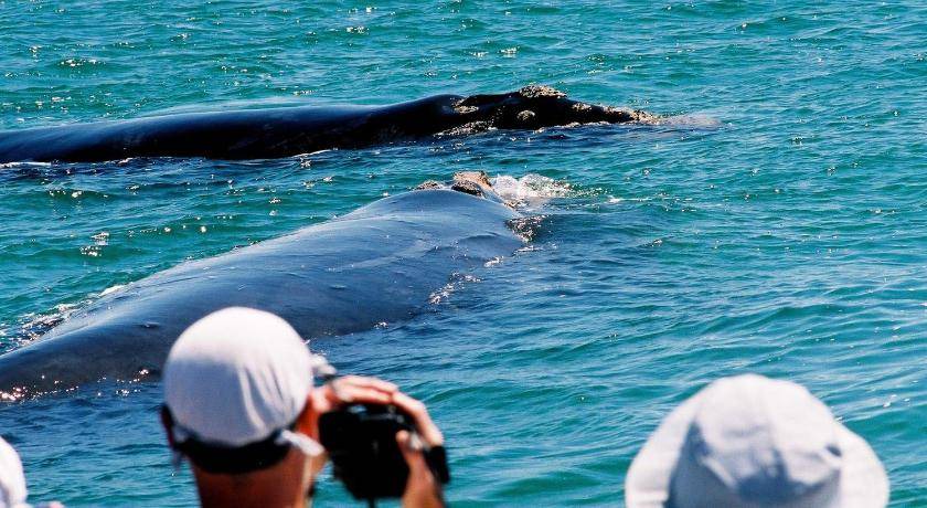 Photo of Others in Hermanus