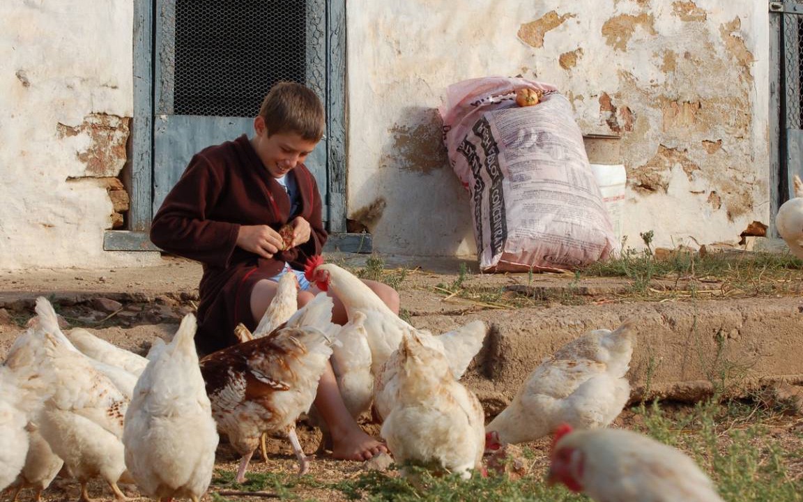 Photo of Others in Swartland
