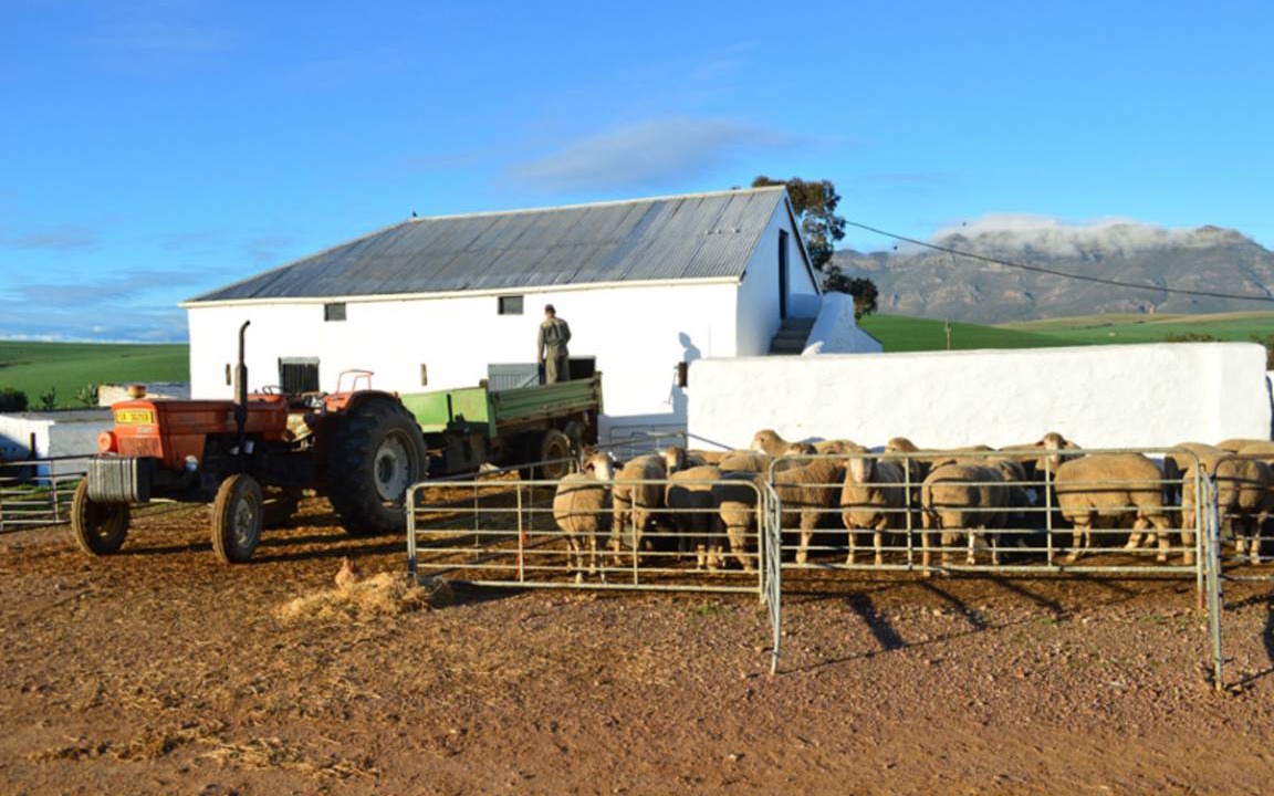 Photo of Others in Swartland