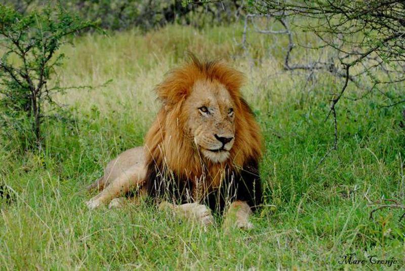 Photo of Others in Nelspruit
