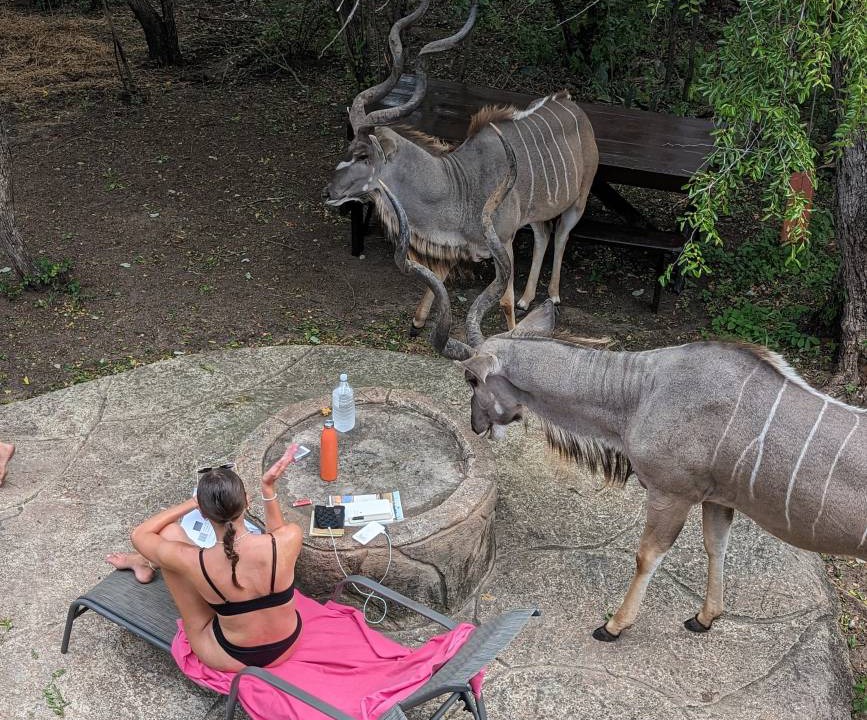 Photo of Others in Marloth Park