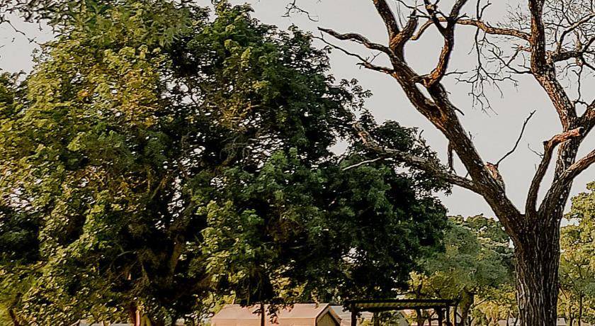 Photo of Others in Nkomazi