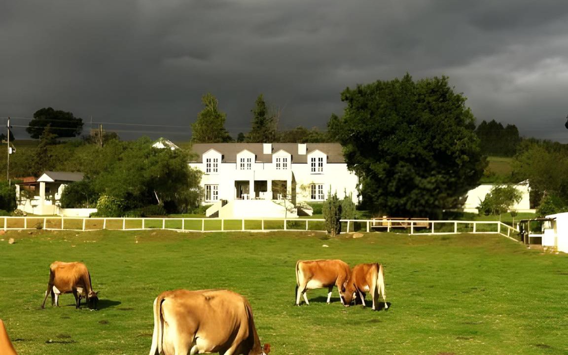 Photo of Others in Swellendam