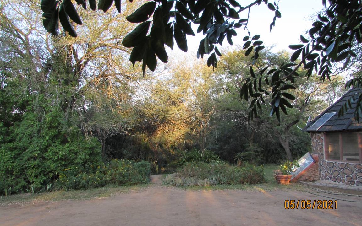 Photo of Others in Thorny Bush Game Reserve
