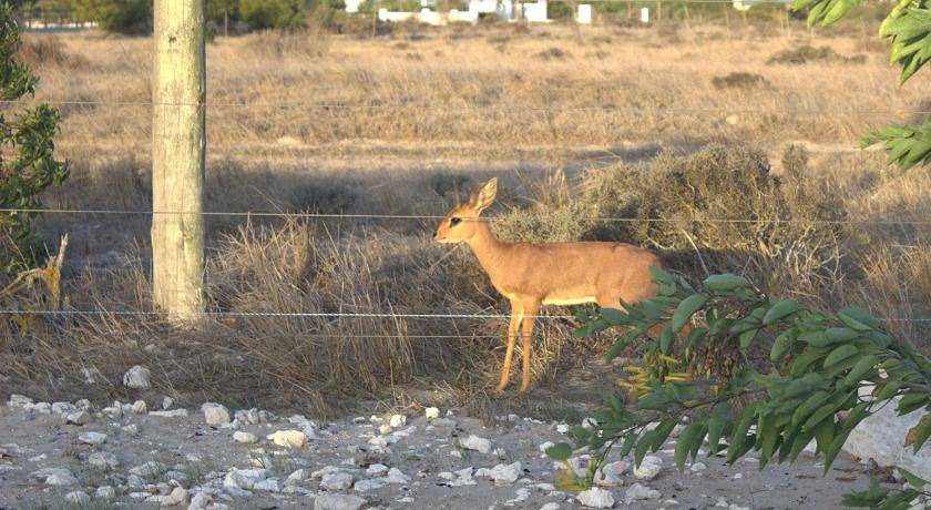 Photo of Others in Langebaan
