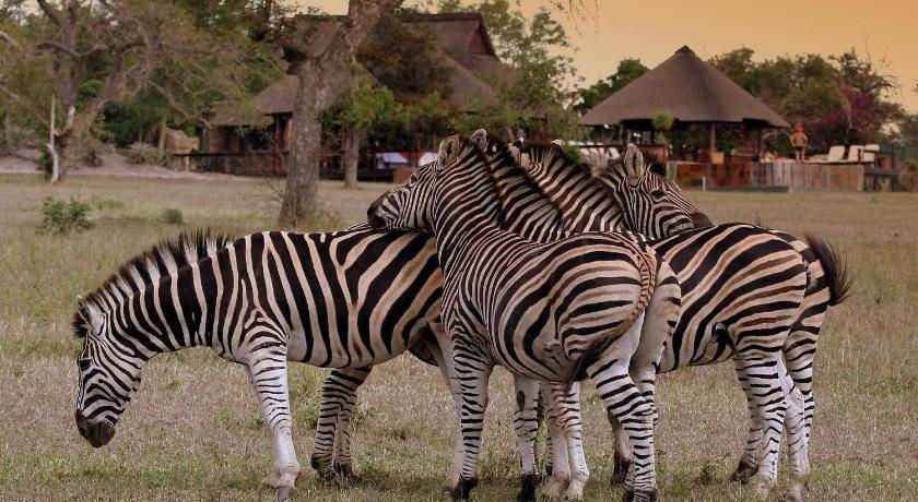 Photo of Others in Kruger National Park