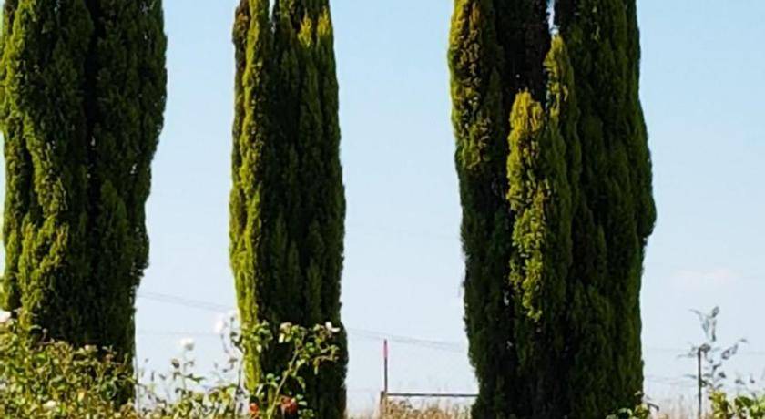Photo of Others in Tierpoort