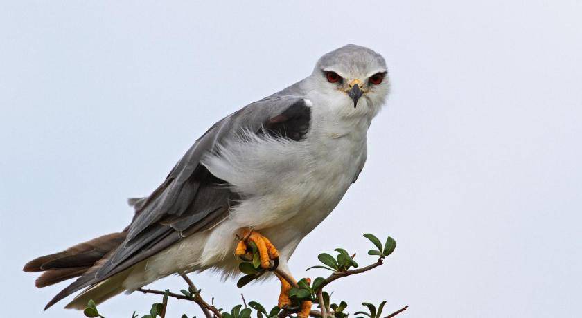 Photo of Others in Addo