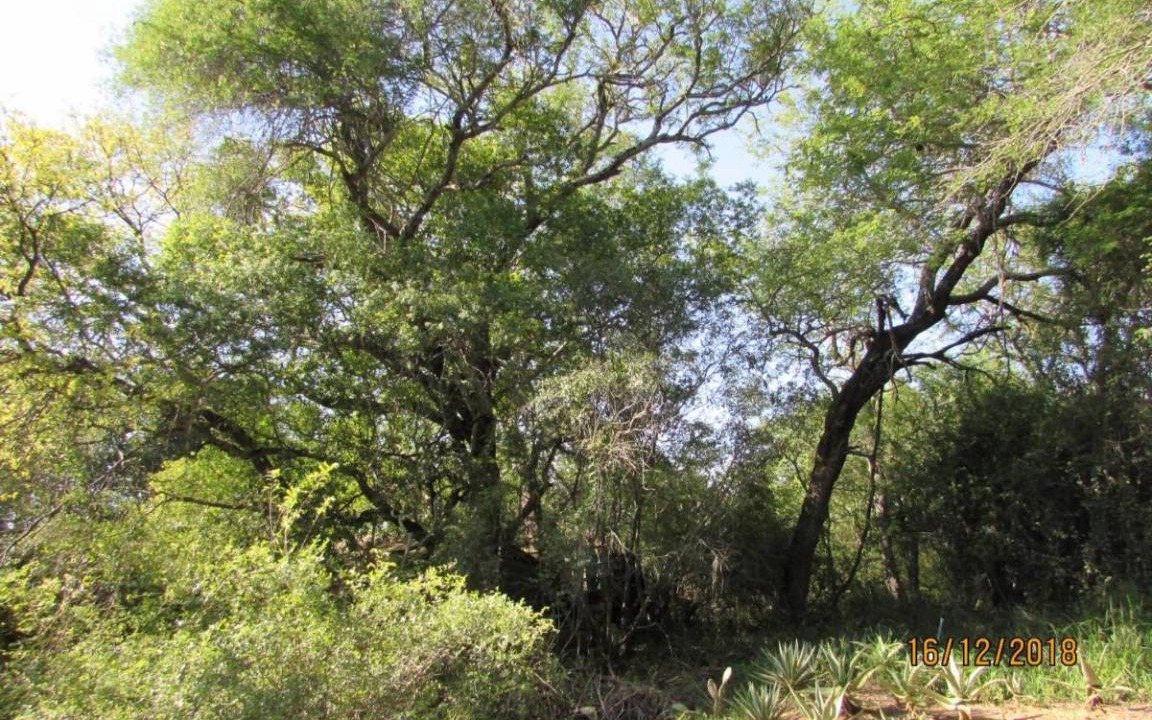Photo of Others in Thorny Bush Game Reserve