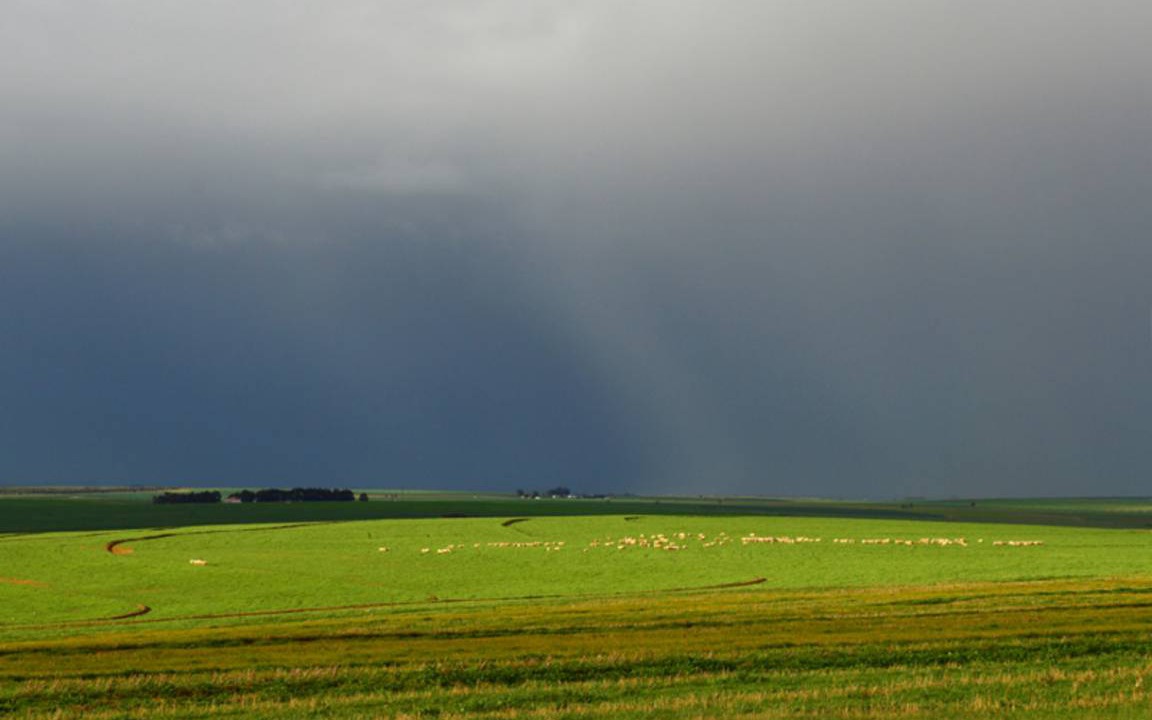 Photo of Others in Swartland
