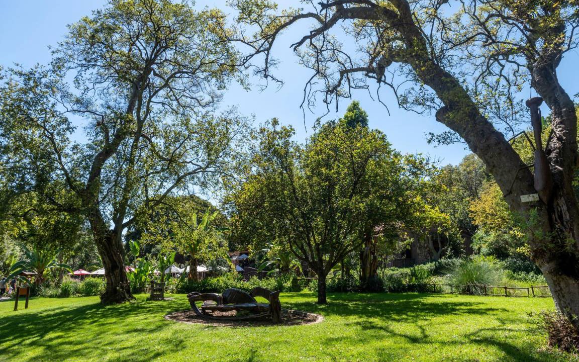 Photo of Outdoor in Parkwood