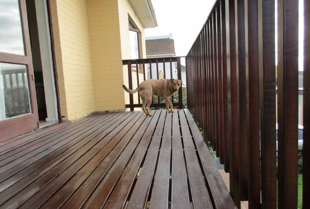 Photo of Others in Muizenberg