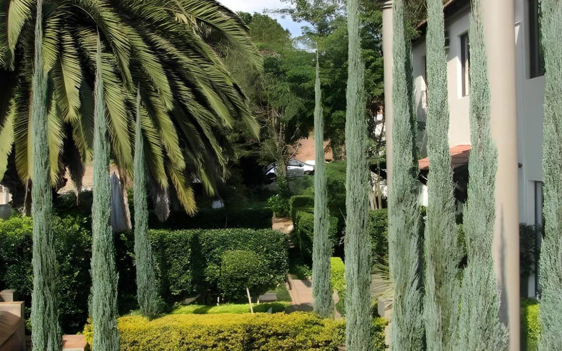 Photo of Others in Constantia Park