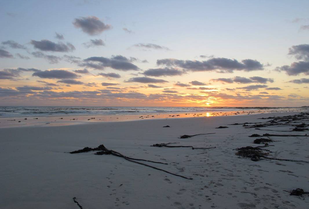 Photo of Others in Pearly Beach