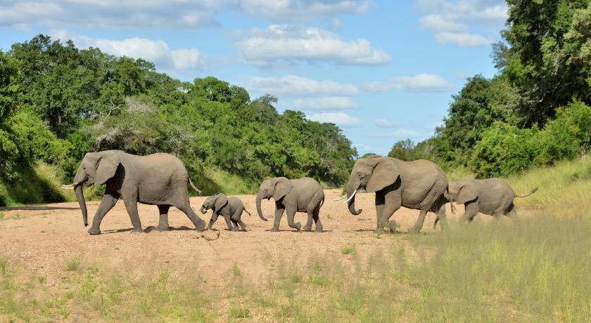 Photo of Others in Kruger National Park