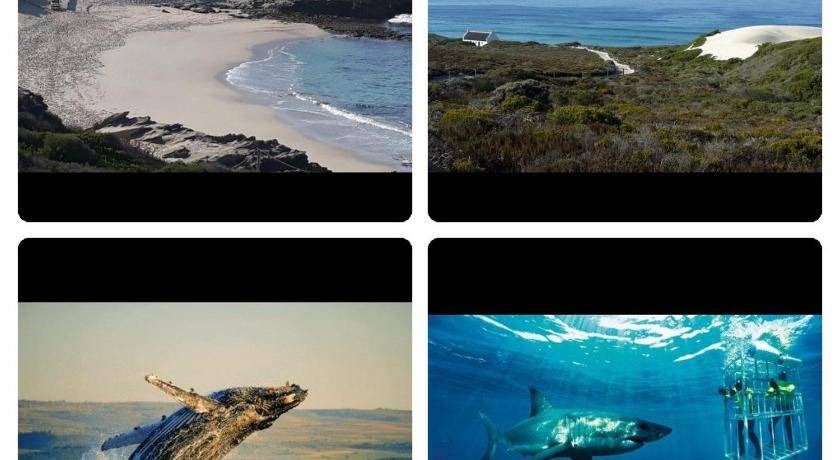 Photo of Others in Kleinbaai