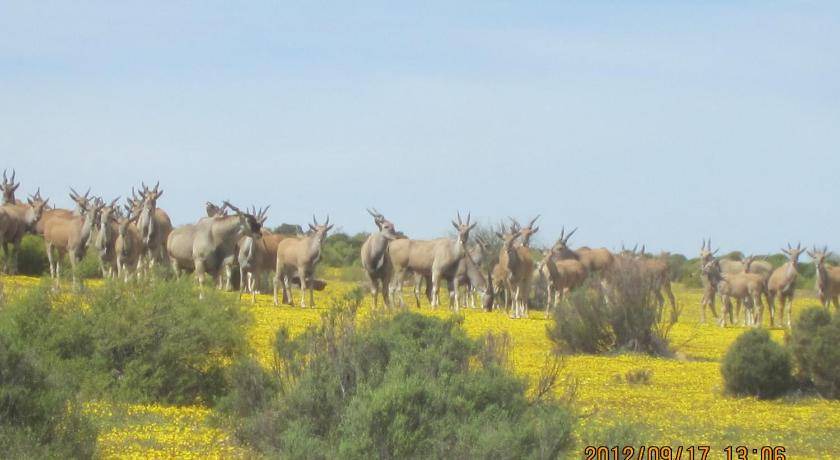 Photo of Others in Cederberg