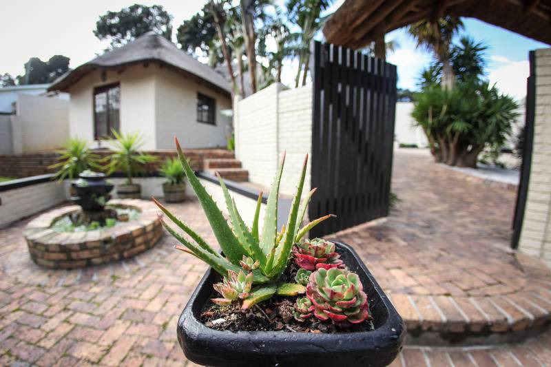 Photo of Others in Somerset West