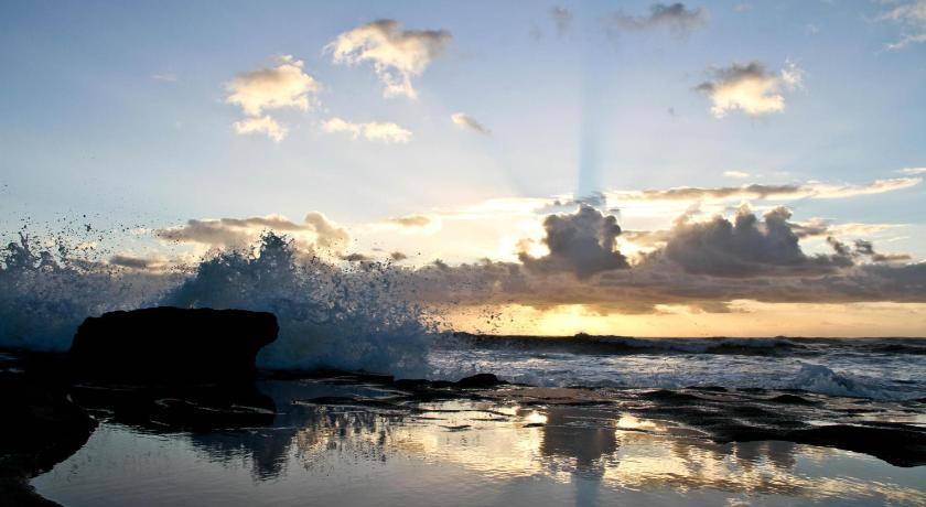Photo of Others in Shelly Beach