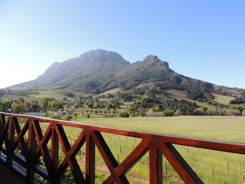 Photo of Others in Cape Winelands