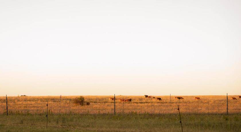Photo of Others in Bloemfontein
