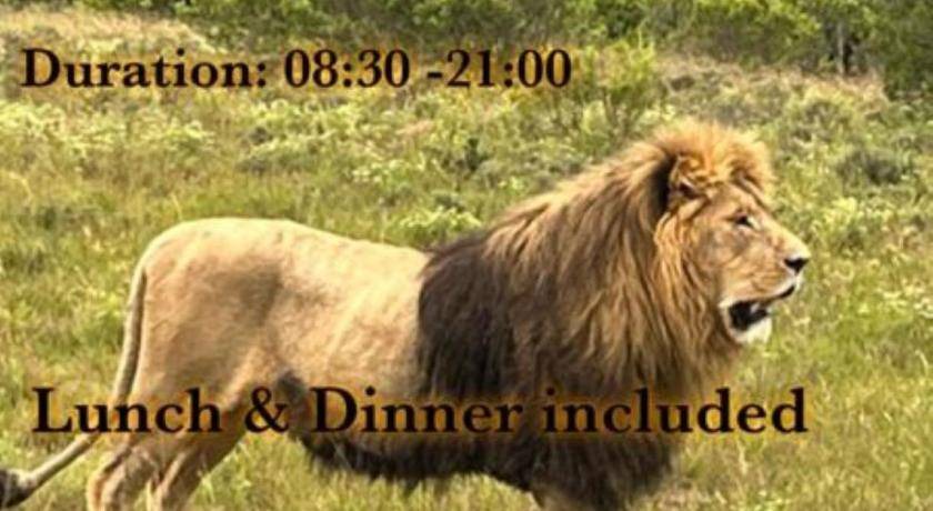 Photo of Others in Addo