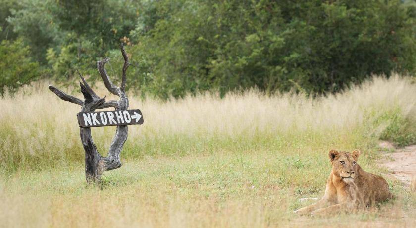 Photo of Others in Kruger National Park