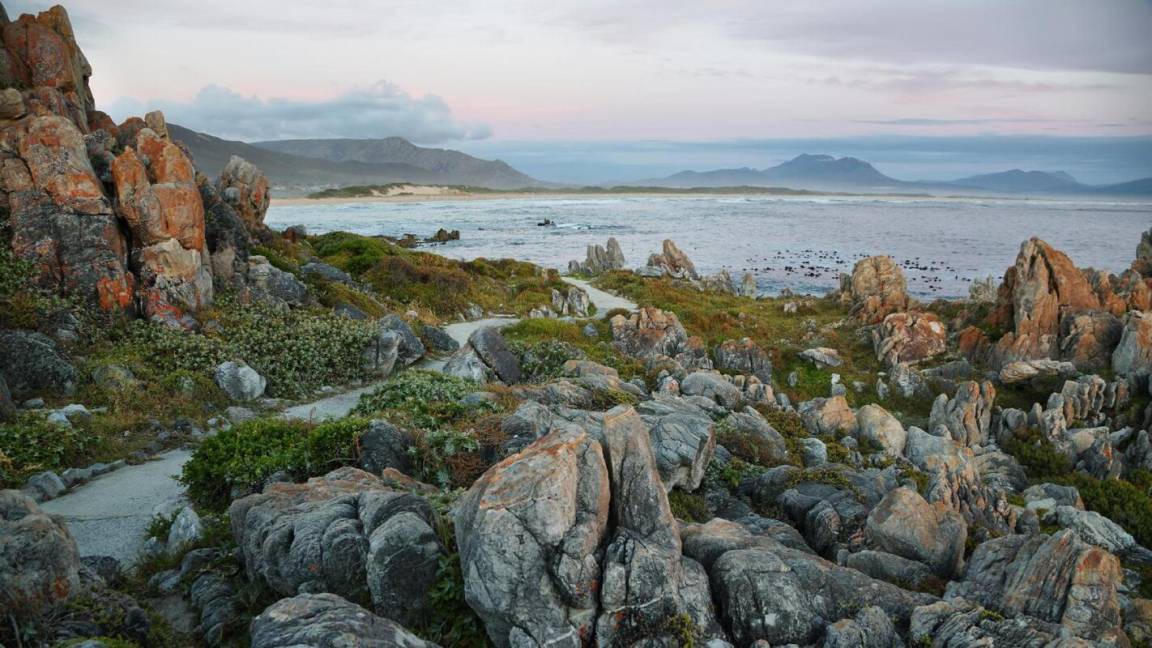 Photo of Others in Kleinmond