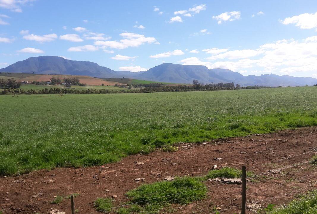 Photo of Others in Riversdale