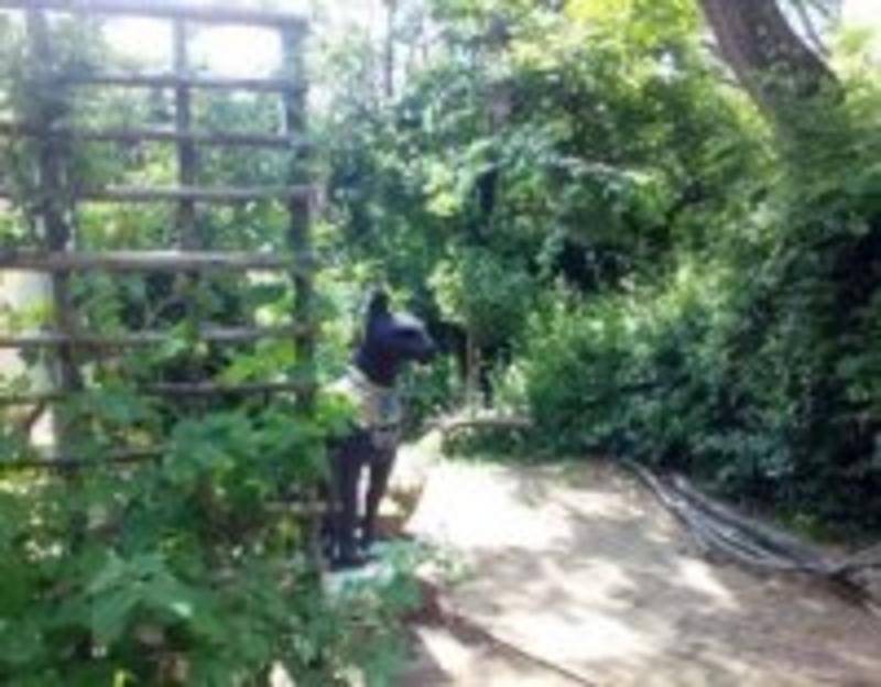 Photo of Others in Parkwood
