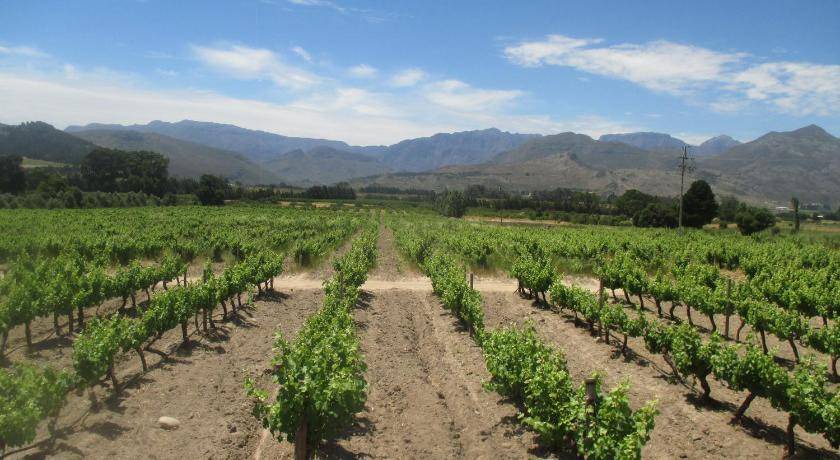 Photo of Others in Cape Winelands