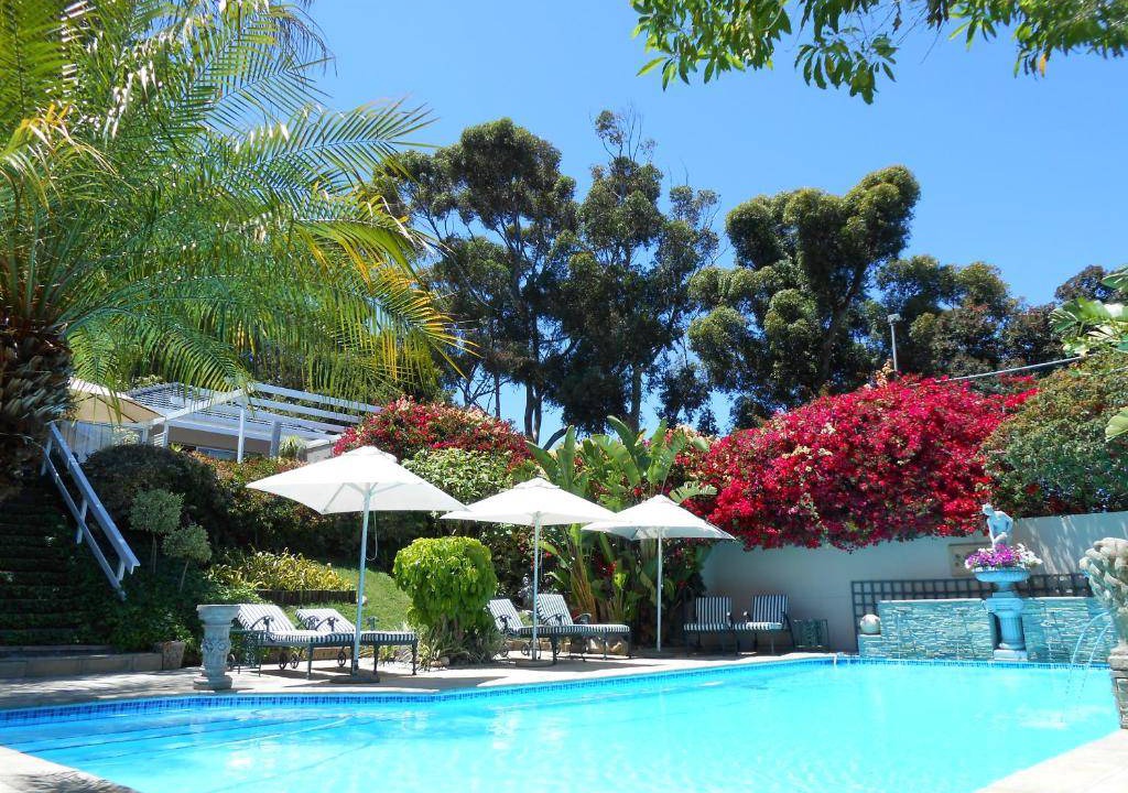 Photo of Others in Somerset West