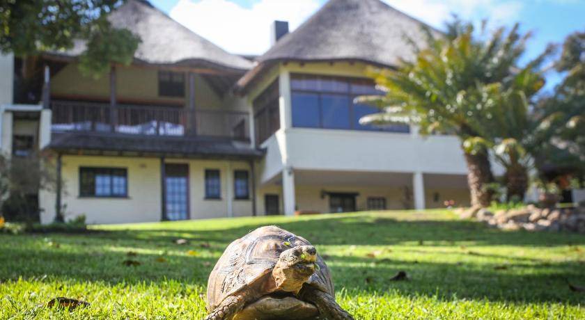 Photo of Others in Somerset West