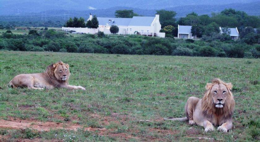 Photo of Others in Addo