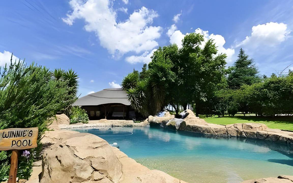 Photo of Others in Magaliesberg
