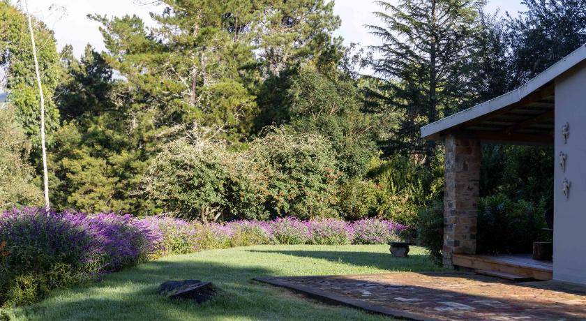 Photo of Others in Hogsback