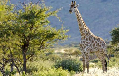 Photo of Others in Polokwane