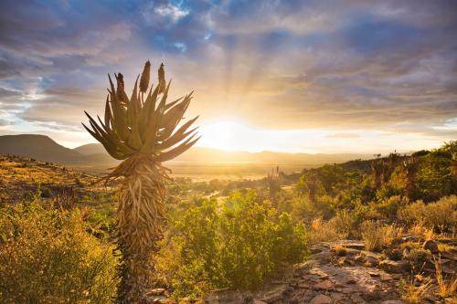 Photo of Others in Graaff-Reinet