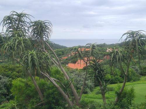Photo of Others in Zimbali Coastal Estate