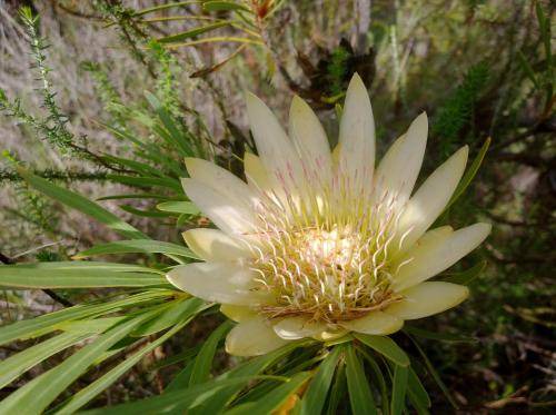 Photo of Outdoor in Barrydale