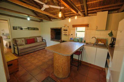 Photo of Others in Cederberg