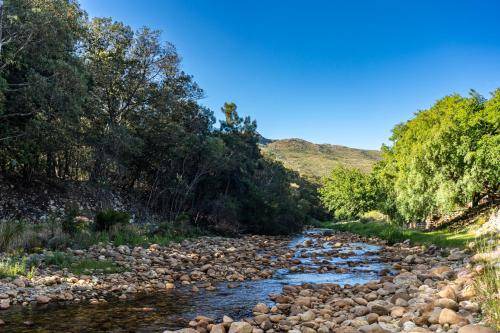 Photo of Others in Cape Winelands